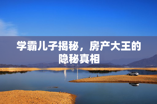 学霸儿子揭秘，房产大王的隐秘真相