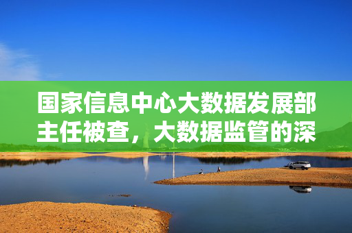 国家信息中心大数据发展部主任被查，大数据监管的深度审视