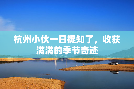 杭州小伙一日捉知了，收获满满的季节奇迹