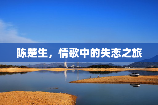 陈楚生，情歌中的失恋之旅