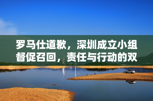 罗马仕道歉，深圳成立小组督促召回，责任与行动的双重考量