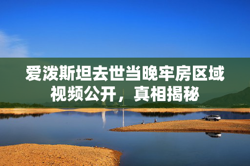 爱泼斯坦去世当晚牢房区域视频公开，真相揭秘