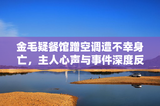 金毛疑餐馆蹭空调遭不幸身亡，主人心声与事件深度反思