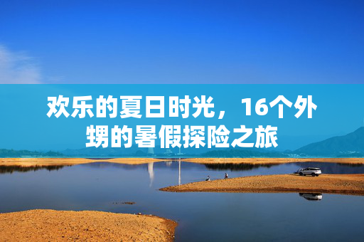 欢乐的夏日时光，16个外甥的暑假探险之旅