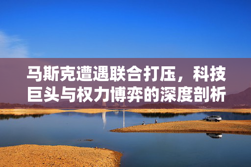 马斯克遭遇联合打压，科技巨头与权力博弈的深度剖析