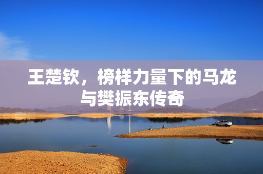 王楚钦，榜样力量下的马龙与樊振东传奇