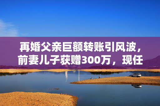再婚父亲巨额转账引风波，前妻儿子获赠300万，现任妻子质疑背后隐情