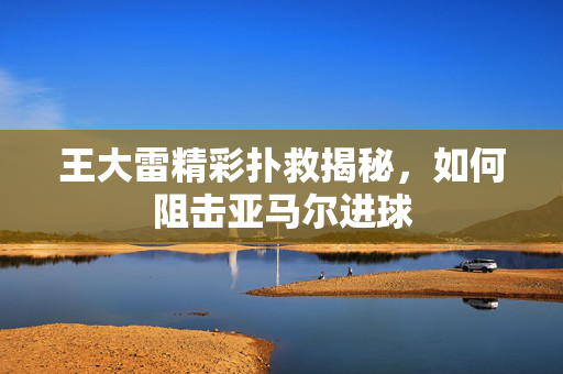 王大雷精彩扑救揭秘，如何阻击亚马尔进球