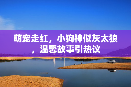 萌宠走红，小狗神似灰太狼，温馨故事引热议