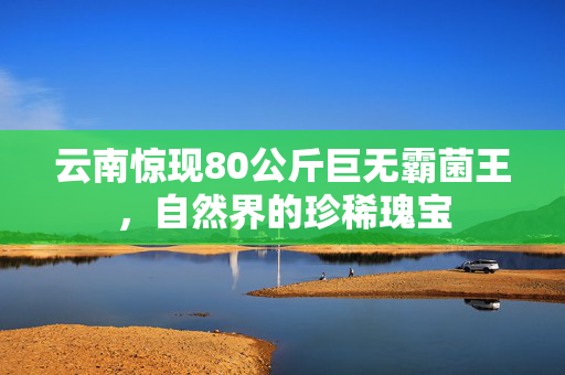 云南惊现80公斤巨无霸菌王，自然界的珍稀瑰宝