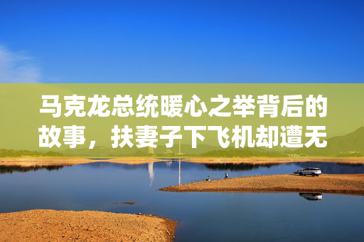 马克龙总统暖心之举背后的故事，扶妻子下飞机却遭无视的瞬间