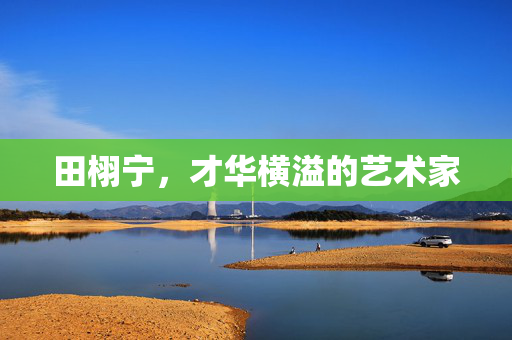 田栩宁，才华横溢的艺术家