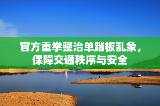 官方重拳整治单踏板乱象，保障交通秩序与安全