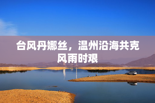 台风丹娜丝，温州沿海共克风雨时艰