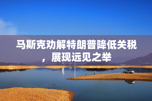 马斯克劝解特朗普降低关税，展现远见之举