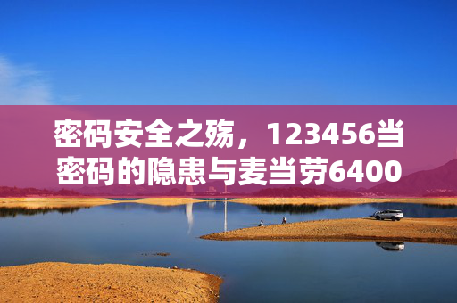 密码安全之殇，123456当密码的隐患与麦当劳6400万信息泄露事件的深度剖析