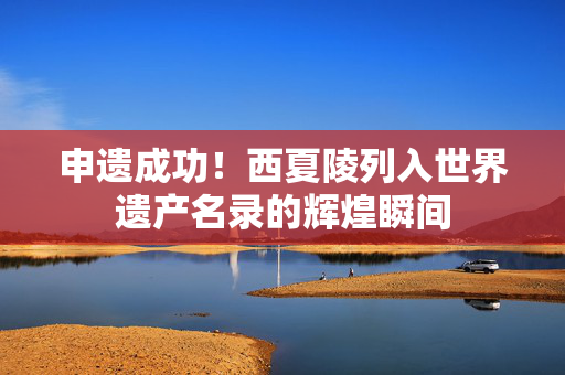 申遗成功！西夏陵列入世界遗产名录的辉煌瞬间