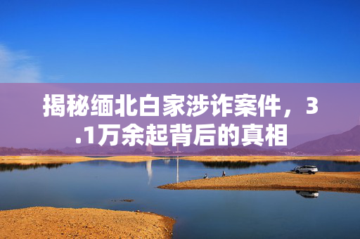 揭秘缅北白家涉诈案件，3.1万余起背后的真相