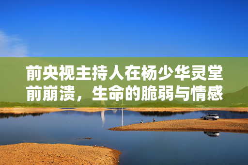 前央视主持人在杨少华灵堂前崩溃，生命的脆弱与情感的碰撞