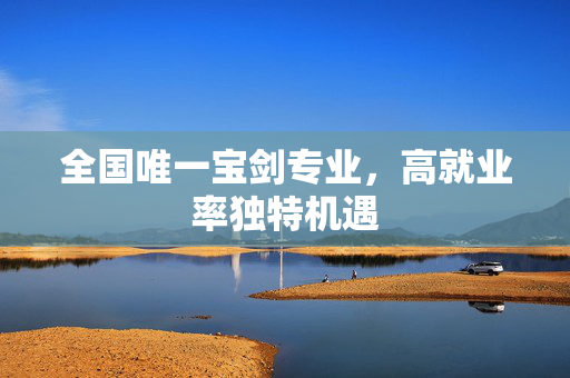全国唯一宝剑专业，高就业率独特机遇