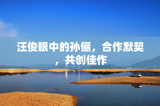 汪俊眼中的孙俪，合作默契，共创佳作