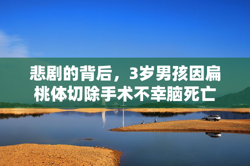 悲剧的背后，3岁男孩因扁桃体切除手术不幸脑死亡