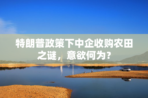 特朗普政策下中企收购农田之谜，意欲何为？