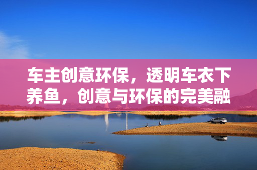 车主创意环保，透明车衣下养鱼，创意与环保的完美融合