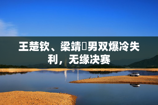 王楚钦、梁靖崑男双爆冷失利，无缘决赛