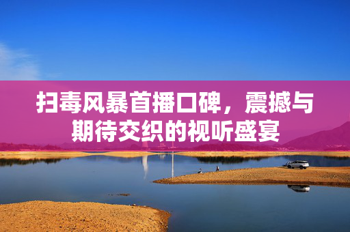 扫毒风暴首播口碑，震撼与期待交织的视听盛宴