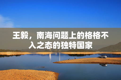 王毅，南海问题上的格格不入之态的独特国家