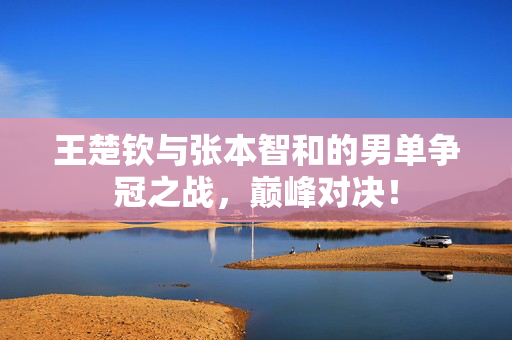 王楚钦与张本智和的男单争冠之战，巅峰对决！