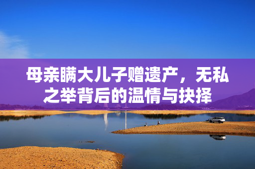 母亲瞒大儿子赠遗产，无私之举背后的温情与抉择
