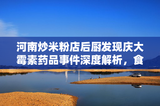 河南炒米粉店后厨发现庆大霉素药品事件深度解析，食品安全监管的挑战与应对