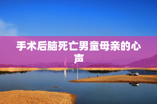 手术后脑死亡男童母亲的心声