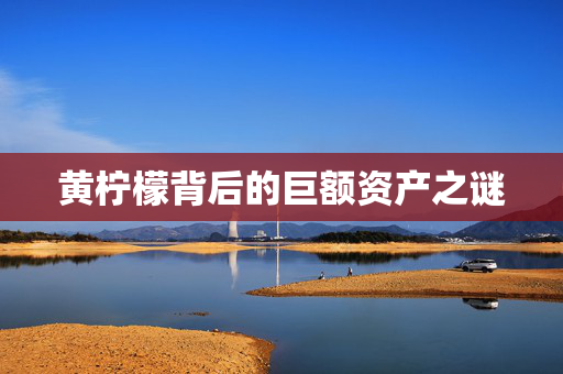 黄柠檬背后的巨额资产之谜