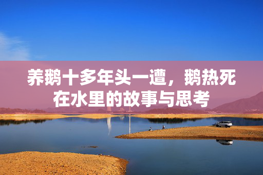 养鹅十多年头一遭，鹅热死在水里的故事与思考