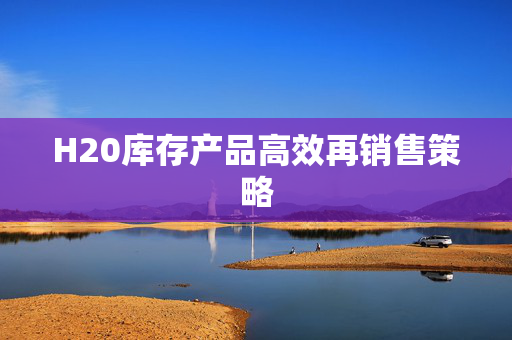 H20库存产品高效再销售策略