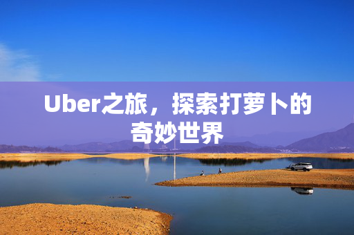 Uber之旅，探索打萝卜的奇妙世界