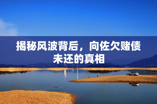 揭秘风波背后，向佐欠赌债未还的真相