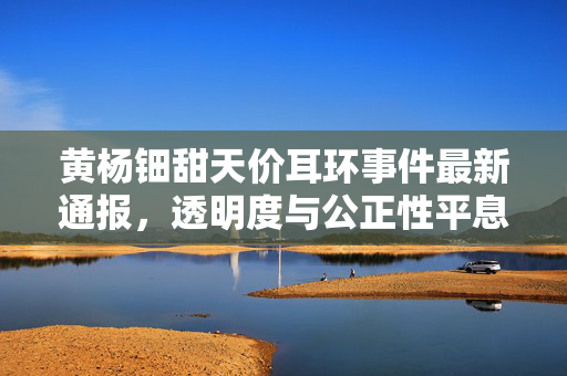 黄杨钿甜天价耳环事件最新通报，透明度与公正性平息舆论风波