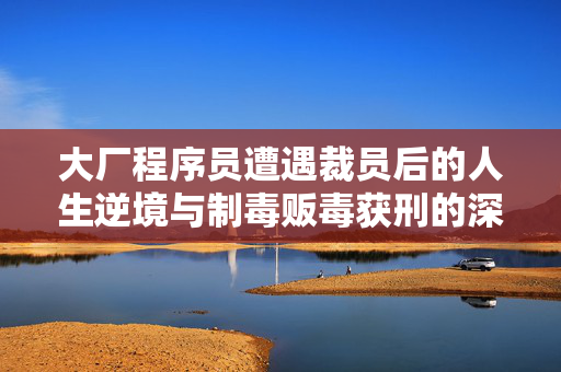 大厂程序员遭遇裁员后的人生逆境与制毒贩毒获刑的深度反思