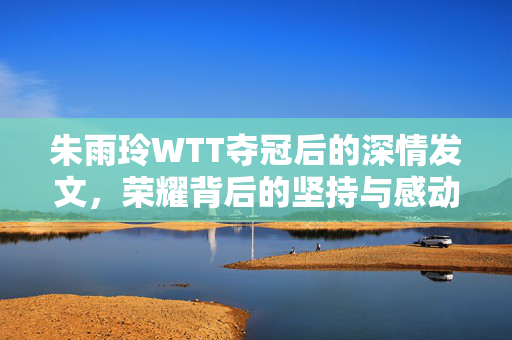 朱雨玲WTT夺冠后的深情发文，荣耀背后的坚持与感动