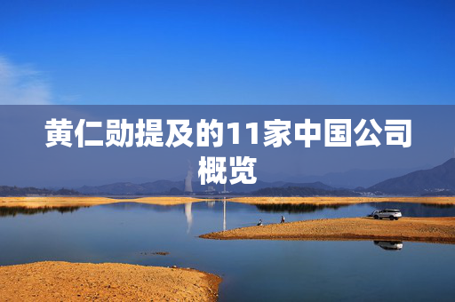 黄仁勋提及的11家中国公司概览