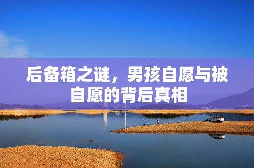 后备箱之谜，男孩自愿与被自愿的背后真相