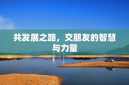 共发展之路，交朋友的智慧与力量