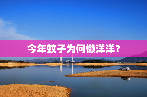今年蚊子为何懒洋洋？