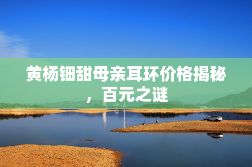 黄杨钿甜母亲耳环价格揭秘，百元之谜