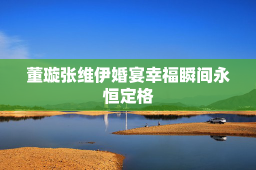 董璇张维伊婚宴幸福瞬间永恒定格