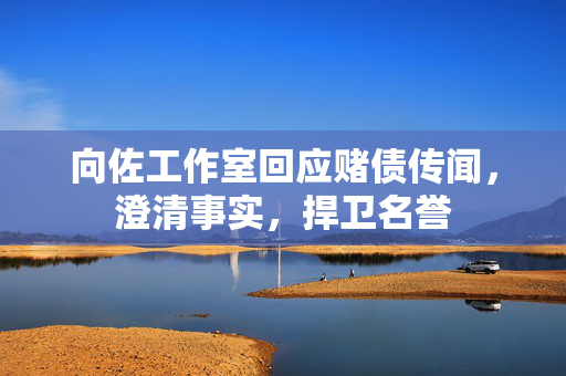 向佐工作室回应赌债传闻，澄清事实，捍卫名誉